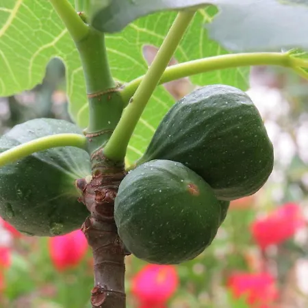 Coastal Bliss In Apartamento Mandre